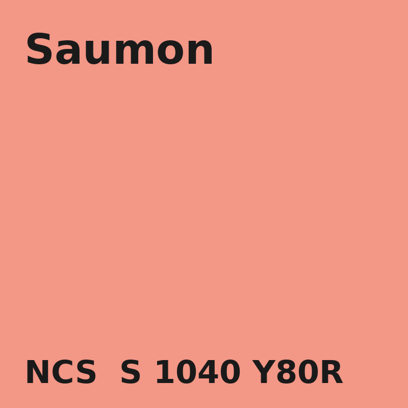 NCS S 1040-Y80R