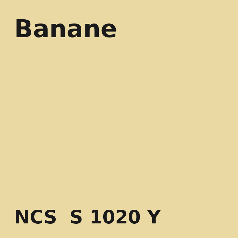 NCS S 1020-Y