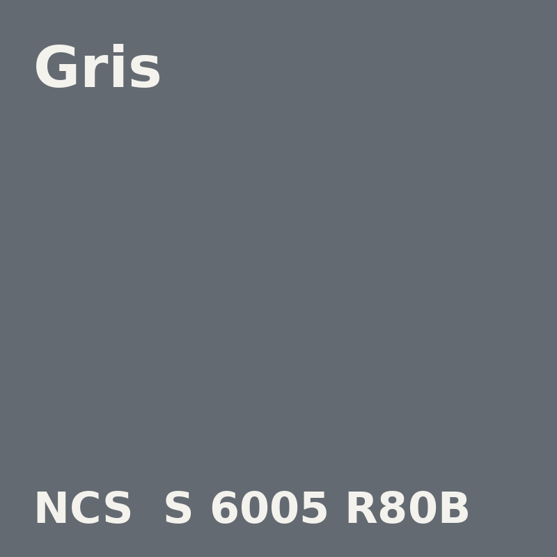 NCS S 6005-R80B