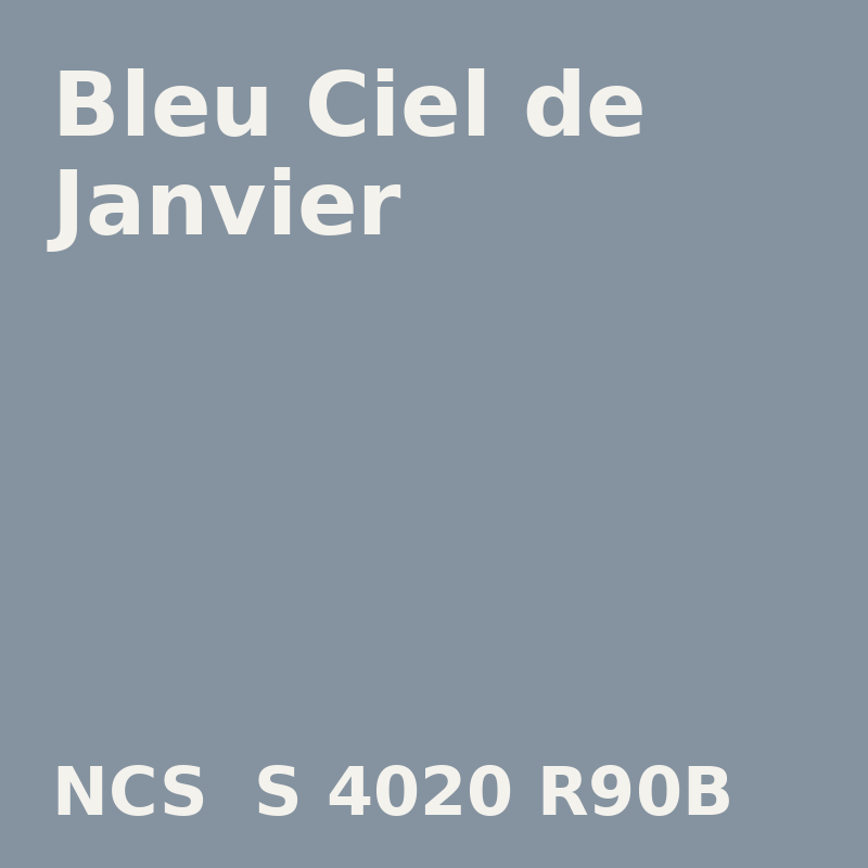 NCS S 4020-R90B