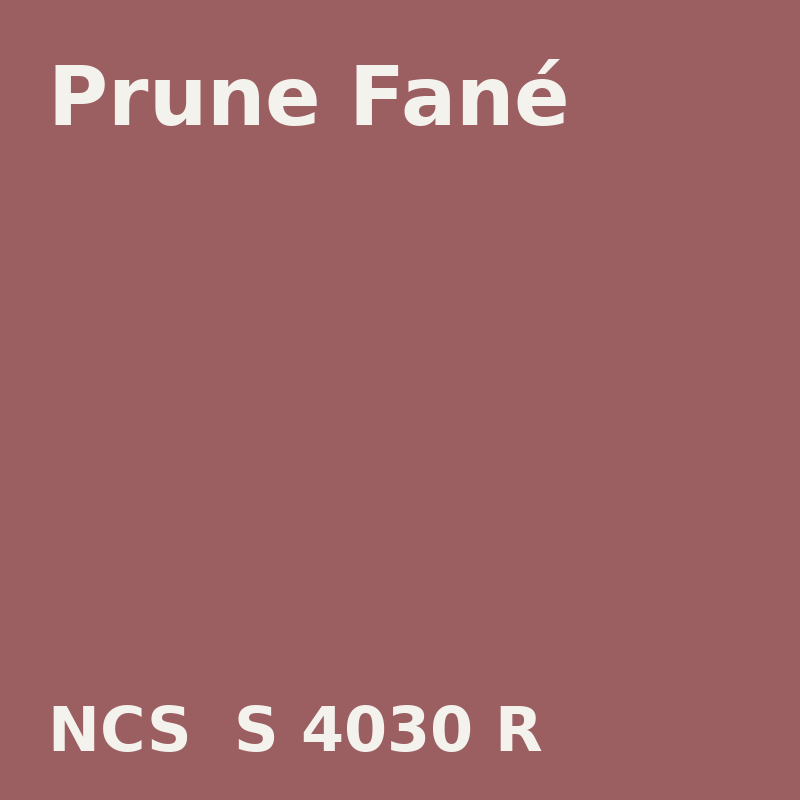 NCS S 4030-R