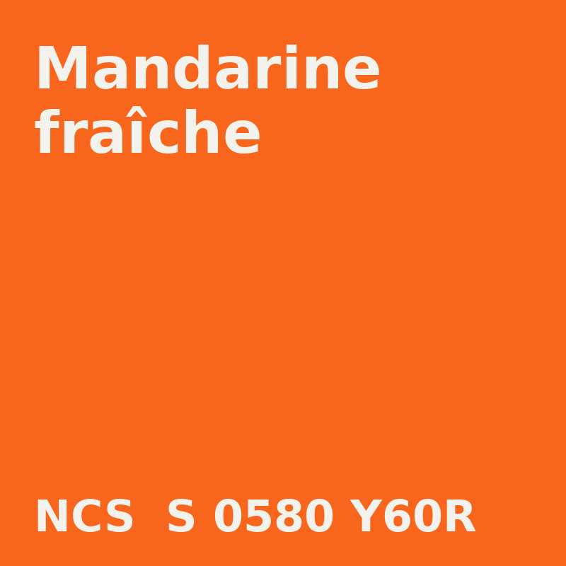 NCS S 0580-Y60R