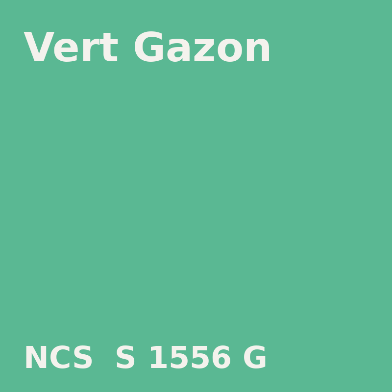 NCS S 1556-G