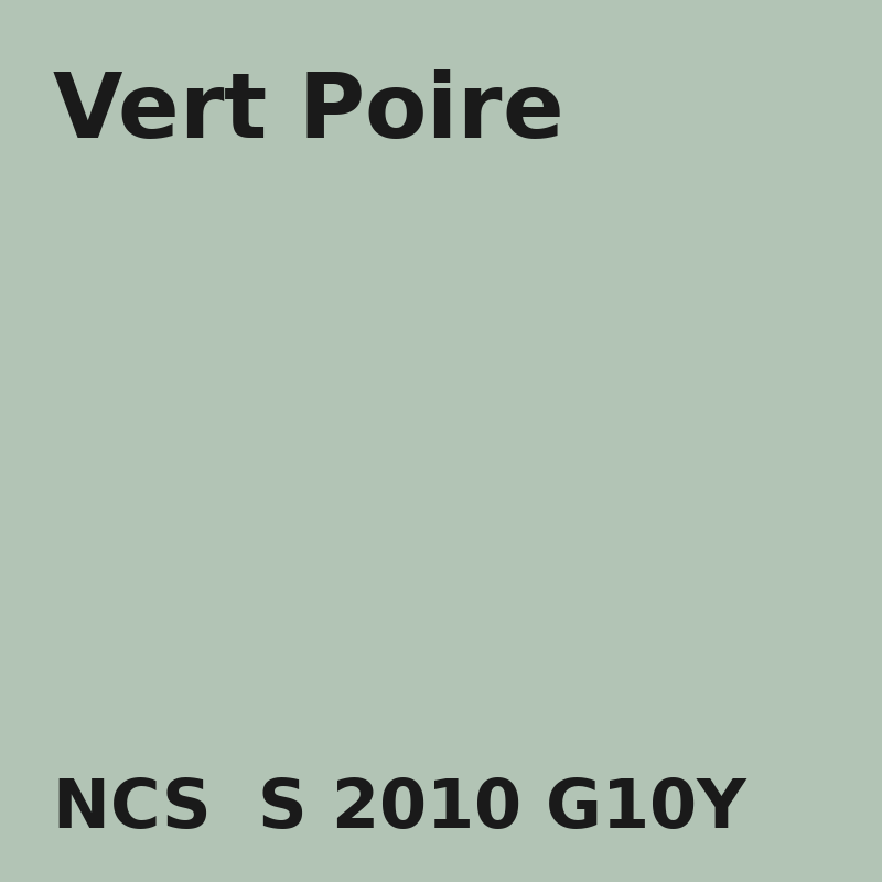 NCS S 2010-G10Y