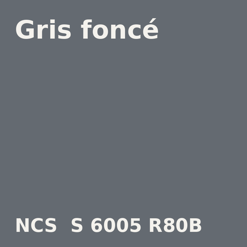 NCS S 6005-R80B