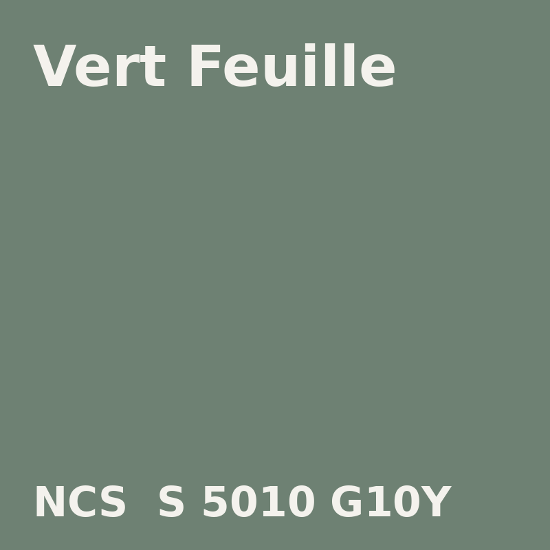 NCS S 5010-G10Y