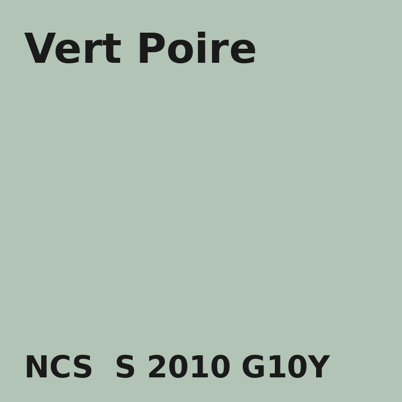 NCS S 2010-G10Y