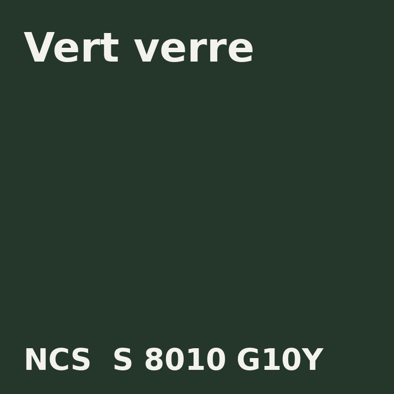 NCS S 8010-G10Y