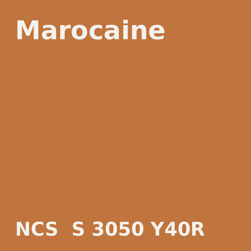 NCS S 3050-Y40R