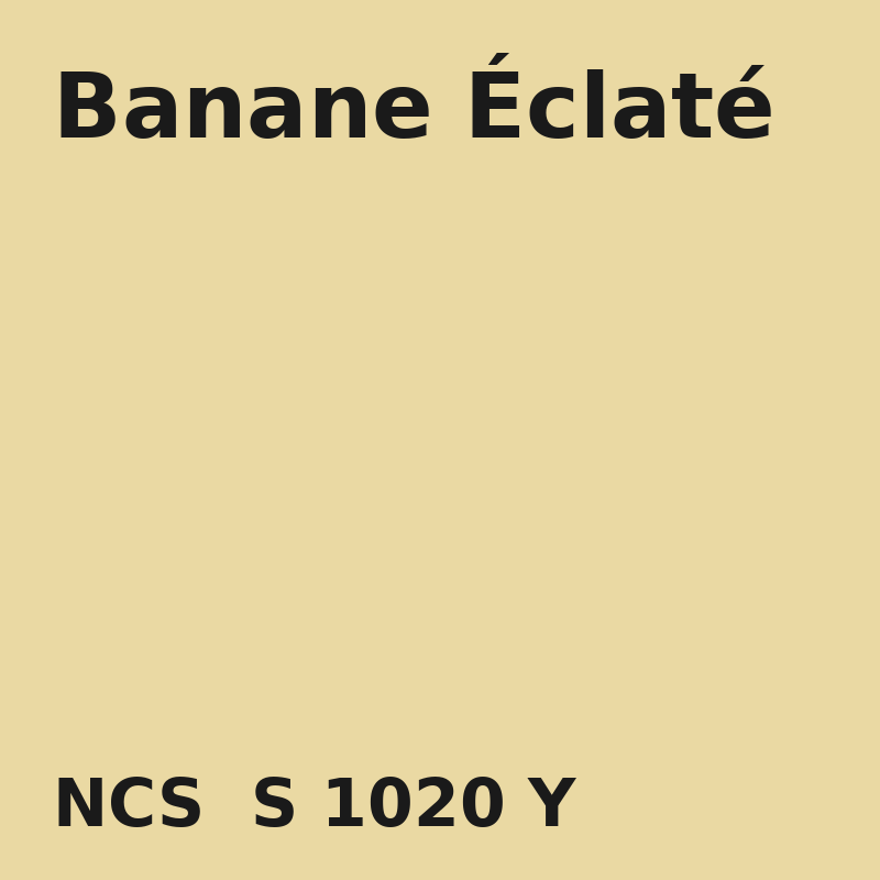 NCS S 1020-Y