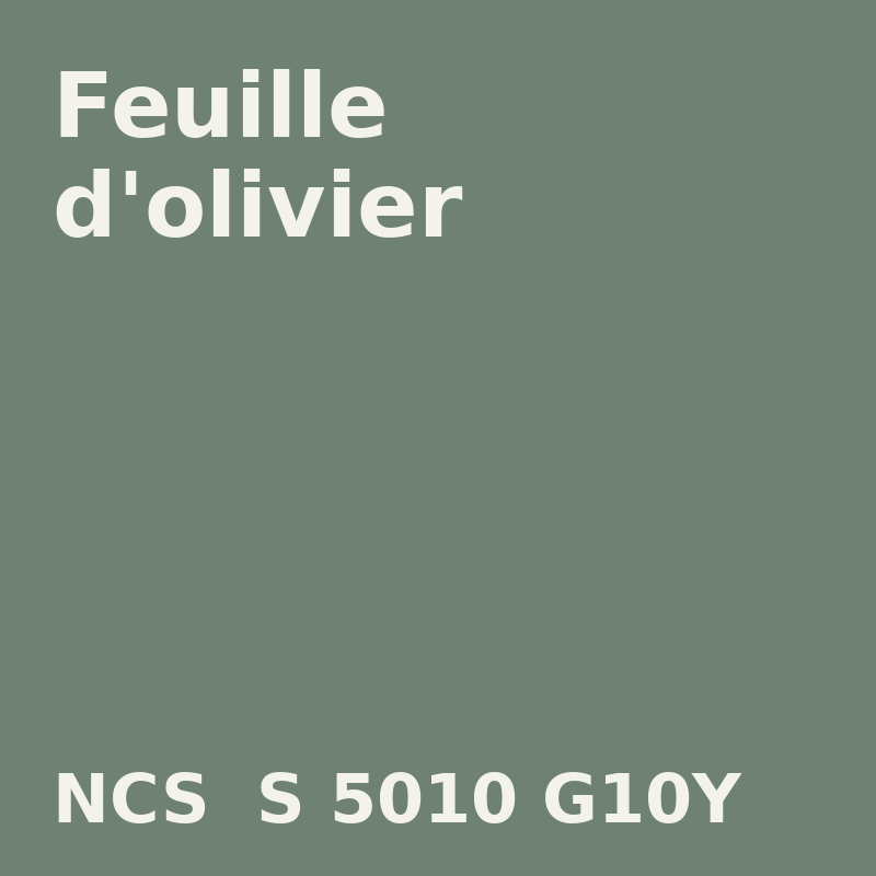 NCS S 5010-G10Y