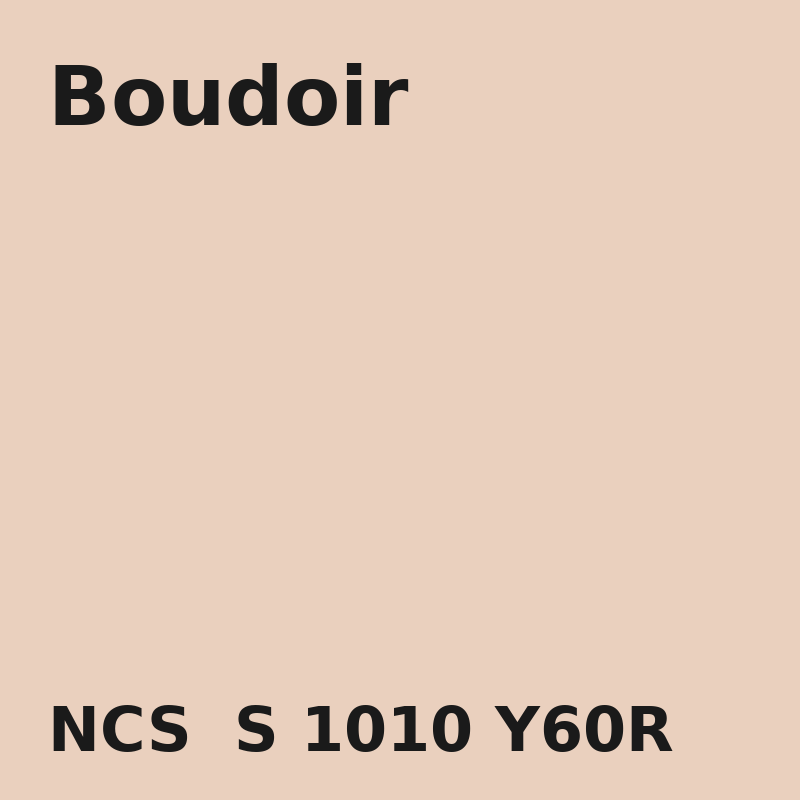 NCS S 1010-Y60R