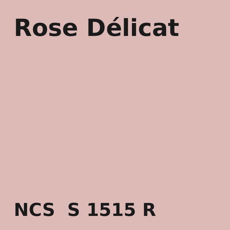 NCS S 1515-R